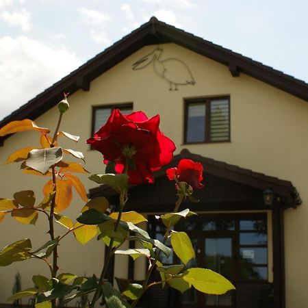 Pelikan Hotel Aleksandrów Łódzki Exterior foto