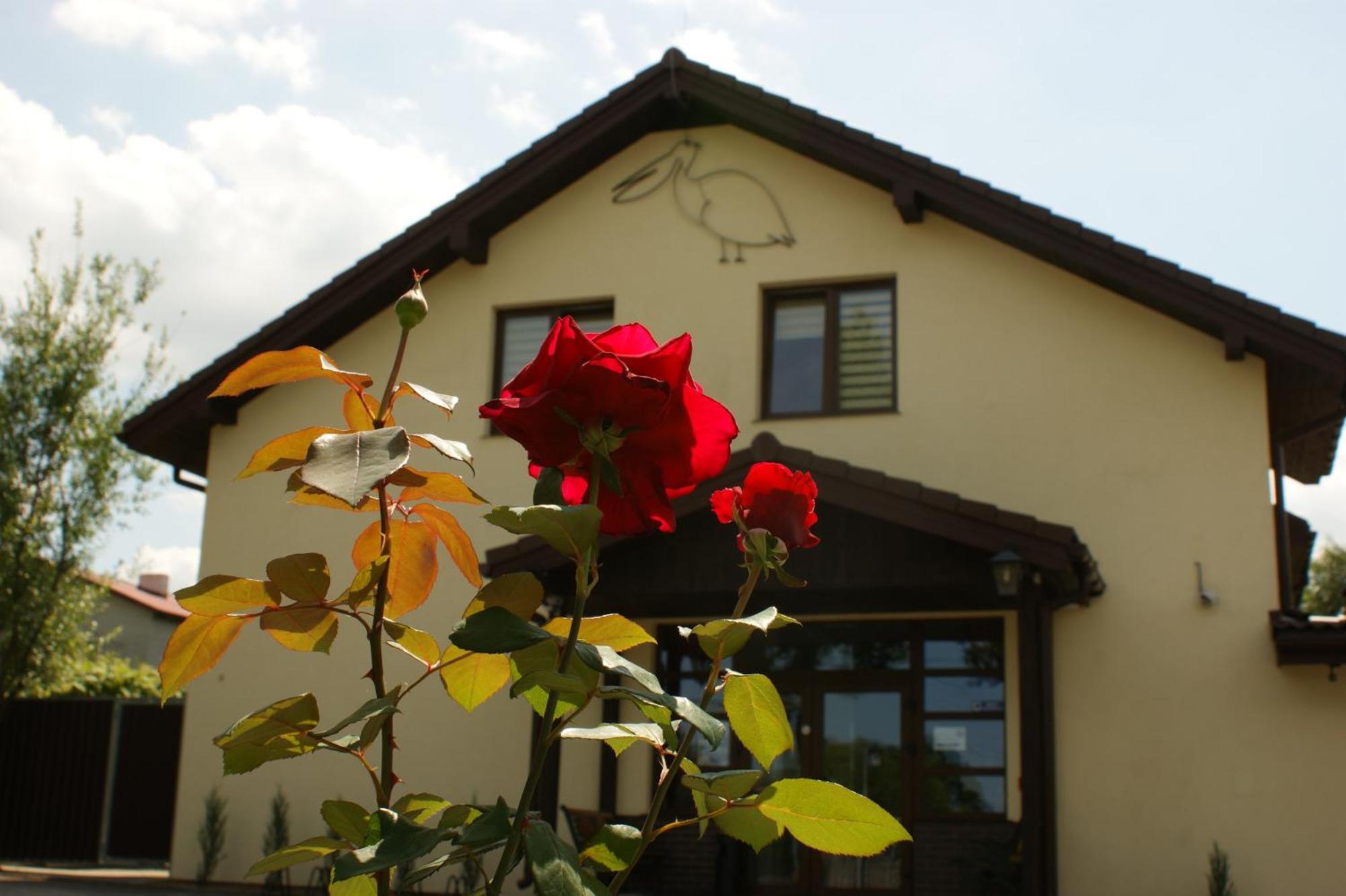 Pelikan Hotel Aleksandrów Łódzki Exterior foto